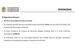 ERGONOMIA
O Organismo Humano
• Estrutura microscópica do músculo estriado
• Os músculos estriados são assim chamados porque apresentam estrias, em sua visão microscópica. São
formados de fibras longas e cilíndricas.
• As fibras compõe-se de centenas de elementos delgados paralelos entre si e muito uniformes,
chamados de miofibrilas.
• As miofibrilas, vistas em um microscópio eletrônico com 150.000 vezes de aumento, apresentam
segmentos funcionalmente completos, chamados de sarcômeros.
 