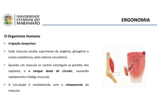 ERGONOMIA
O Organismo Humano
• Irrigação Sanguínea
• Cada músculo recebe suprimento de oxigênio, glicogênio e
outras substâncias, pelo sistema circulatório.
• Quando um músculo se contrai estrangula as paredes dos
capilares, e o sangue deixa de circular, causando
rapidamente a fadiga muscular.
• A circulação é restabelecida com o relaxamento do
músculo.
 