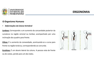 ERGONOMIA
O Organismo Humano
• Deformações da Coluna Vertebral
Lordose: Corresponde a um aumento da concavidade posterior da
curvatura na região cervical ou lombar, acompanhado por uma
inclinação dos quadris para frente.
Cifose: É o aumento da convexidade, acentuando-se a curva para
frente na região torácica, correspondendo ao corcunda.
Escoliose: É um desvio lateral da coluna. A pessoa vista de frente
ou de costas, pende para um dos lados.
 