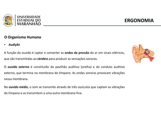 ERGONOMIA
O Organismo Humano
• Audição
A função do ouvido é captar e converter as ondas de pressão do ar em sinais elétricos,
que são transmitidas ao cérebro para produzir as sensações sonoras.
O ouvido externo é constituído do pavilhão auditivo (orelha) e do conduto auditivo
externo, que termina na membrana do tímpano. As ondas sonoras provocam vibrações
nessa membrana.
No ouvido médio, o som se transmite através de três ossículos que captam as vibrações
do tímpano e as transmitem a uma outra membrana fina.
 