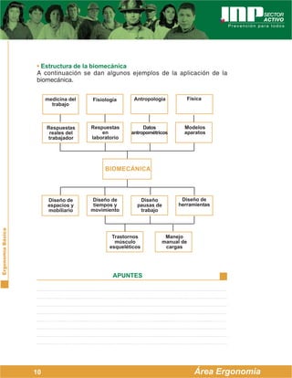 ErgonomíaBásica
Área Ergonomía
APUNTES
10
BIOMECÁNICA
medicina del
trabajo
Fisiología Antropología Física
Respuestas
reales del
trabajador
Respuestas
en
laboratorio
Datos
antropométricos
Modelos
aparatos
Diseño de
espacios y
mobiliario
Diseño de
tiempos y
movimiento
Diseño
pausas de
trabajo
Diseño de
herramientas
Trastornos
músculo
esqueléticos
Manejo
manual de
cargas
• Estructura de la biomecánica
A continuación se dan algunos ejemplos de la aplicación de la
biomecánica.
 