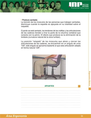 ErgonomíaBásica
Área Ergonomía
APUNTES
11
• Postura sentada
La tención de los músculos de las personas que trabajan sentadas,
disminuye cuando la espalda es apoyada en su totalidad sobre el
respaldo.
Cuando se está sentado, los tendones de las rodillas y las articulaciones
de las caderas tienden a tirar la parte de la columna vertebral que
conecta con la pelvis. El efecto que produce es la eliminación de la
lordosis (curvatura natural de la zona lumbar).
La posición “relajado” de los músculos que abren y cierran las
articulaciones de las caderas, se encuentran en un ángulo de unos
135º, este ángulo se aproxima bastante al que esta articulación adopta
en forma natural 128º.
 