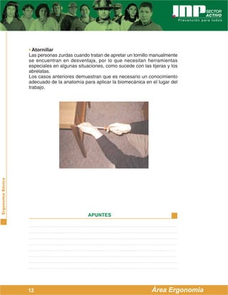 ErgonomíaBásica
Área Ergonomía
APUNTES
12
• Atornillar
Las personas zurdas cuando tratan de apretar un tornillo manualmente
se encuentran en desventaja, por lo que necesitan herramientas
especiales en algunas situaciones, como sucede con las tijeras y los
abrelatas.
Los casos anteriores demuestran que es necesario un conocimiento
adecuado de la anatomía para aplicar la biomecánica en el lugar del
trabajo.
 