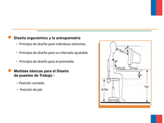 • Principio de diseño para individuos extremos.
• Principio de diseño para un intervalo ajustable.
• Principio de diseño para el promedio.
Diseño ergonómico y la antropometría
• Posición sentado.
• Posición de pié.
Medidas básicas para el Diseño
de puestos de Trabajo :
Módulo Ergonomía Básica
 