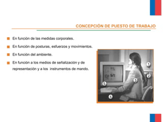 En función de las medidas corporales.
En función de posturas, esfuerzos y movimientos.
En función del ambiente.
En función a los medios de señalización y de
representación y a los instrumentos de mando.
CONCEPCIÓN DE PUESTO DE TRABAJO
Módulo Ergonomía Básica
 