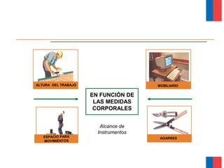EN FUNCIÓN DE
LAS MEDIDAS
CORPORALES
Alcance de
Instrumentos
ALTURA DEL TRABAJO MOBILIARIO
AGARRES
Módulo Ergonomía Básica
 