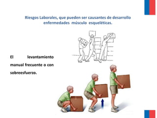 El levantamiento
manual frecuente o con
sobreesfuerzo.
Riesgos Laborales, que pueden ser causantes de desarrollo
enfermedades músculo esqueléticas.
 