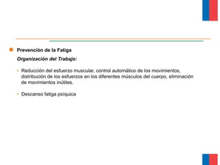 Prevención de la Fatiga
Organización del Trabajo:
• Reducción del esfuerzo muscular, control automático de los movimientos,
distribución de los esfuerzos en los diferentes músculos del cuerpo, eliminación
de movimientos inútiles.
• Descanso fatiga psíquica
Módulo Ergonomía Básica
 