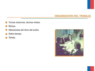 Turnos nocturnos, diurnos mixtos.
Ritmos.
Alteraciones del ritmo del sueño.
Sobre tiempo.
Tareas.
ORGANIZACIÓN DEL TRABAJO
Módulo Ergonomía Básica
 