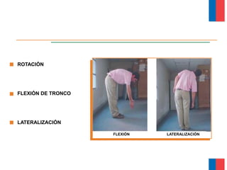 ROTACIÓN
FLEXIÓN DE TRONCO
LATERALIZACIÓN
FLEXIÓN LATERALIZACIÓN
Módulo Ergonomía Básica
 
