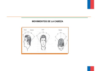 MOVIMIENTOS DE LA CABEZA
Módulo Ergonomía Básica
 