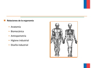 • Anatomía
• Biomecánica
• Antropometría
• Higiene industrial
• Diseño industrial
Relaciones de la ergonomía
Módulo Ergonomía Básica
 