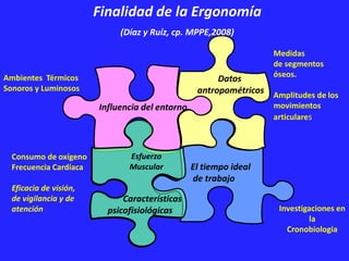 Influencia del entorno
Datos
antropométricos
Ambientes Térmicos
Sonoros y Luminosos
Medidas
de segmentos
óseos.
Amplitudes de los
movimientos
articulares
Consumo de oxígeno
Frecuencia Cardíaca
Eficacia de visión,
de vigilancia y de
atención
Finalidad de la Ergonomía
(Díaz y Ruíz, cp. MPPE,2008)
El tiempo ideal
de trabajo
Esfuerzo
Muscular
Características
psicofisiológicas Investigaciones en
la
Cronobiología
 
