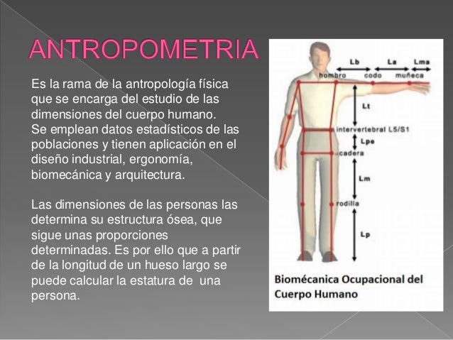 Ergonomia del estudiante