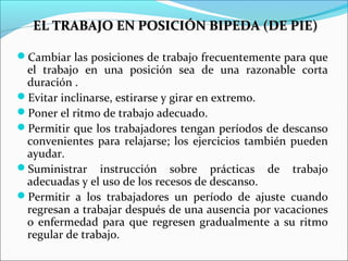 EL TRABAJO EN POSICIÓN BIPEDA (DE PIE)EL TRABAJO EN POSICIÓN BIPEDA (DE PIE)
Cambiar las posiciones de trabajo frecuentemente para que
el trabajo en una posición sea de una razonable corta
duración .
Evitar inclinarse, estirarse y girar en extremo.
Poner el ritmo de trabajo adecuado.
Permitir que los trabajadores tengan períodos de descanso
convenientes para relajarse; los ejercicios también pueden
ayudar.
Suministrar instrucción sobre prácticas de trabajo
adecuadas y el uso de los recesos de descanso.
Permitir a los trabajadores un período de ajuste cuando
regresan a trabajar después de una ausencia por vacaciones
o enfermedad para que regresen gradualmente a su ritmo
regular de trabajo.
 