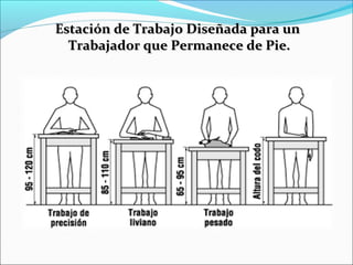 Estación de Trabajo Diseñada para unEstación de Trabajo Diseñada para un
Trabajador que Permanece de Pie.Trabajador que Permanece de Pie.
 