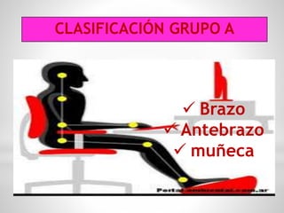 CLASIFICACIÓN GRUPO A
 Brazo
 Antebrazo
 muñeca
 