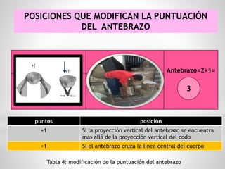 POSICIONES QUE MODIFICAN LA PUNTUACIÓN
DEL ANTEBRAZO
puntos posición
+1 Si la proyección vertical del antebrazo se encuentra
mas allá de la proyección vertical del codo
+1 Si el antebrazo cruza la línea central del cuerpo
Tabla 4: modificación de la puntuación del antebrazo
Antebrazo=2+1=
3
 