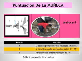 Puntuación De La MUÑECA
Puntos Posición
1 Si esta en posición neutra respecto a flexión
2 Si esta flexionada o extendida entre 0° y 15°
3 Para flexión o extensión mayor de 15°
Tabla 5: puntuación de la muñeca
Muñeca=2
 