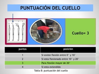 PUNTUACIÓN DEL CUELLO
puntos posición
1 Si existe flexión entre 0° y 10°
2 Si esta flexionado entre 10° y 20°
3 Para flexión mayor de 20°
4 Si esta extendido
Tabla 8: puntuación del cuello
Cuello= 3
 