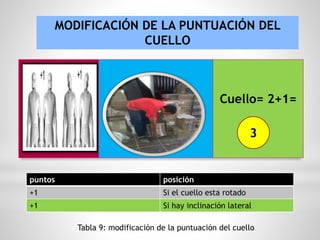 MODIFICACIÓN DE LA PUNTUACIÓN DEL
CUELLO
puntos posición
+1 Si el cuello esta rotado
+1 Si hay inclinación lateral
Tabla 9: modificación de la puntuación del cuello
Cuello= 2+1=
+
3
 
