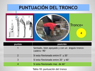 PUNTUACIÓN DEL TRONCO
puntos posición
1 Sentado, bien apoyado y con un ángulo tronco-
cadera >90°
2 Si esta flexionado entre 0° y 20°
3 Si esta flexionado entre 20° y 60°
4 Si esta flexionado mas de 60°
Tabla 10: puntuación del tronco
Tronco=
4
 