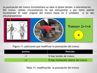 La puntuación del tronco incrementara su valor si existe torsión o lateralización
Del tronco. Ambas circunstancias no son excluyentes y por tanto podrán
incrementar El valor original del tronco hasta en 2 unidades si se dan
simultáneamente
Figura 11: posiciones que modifican la puntuación del tronco
puntos Posición
+1 Si hay torsión de tronco
+1 Si hay inclinación lateral del tronco
Tabla 11: modificación la puntuación del tronco
Tronco= 2+1=4
4
 