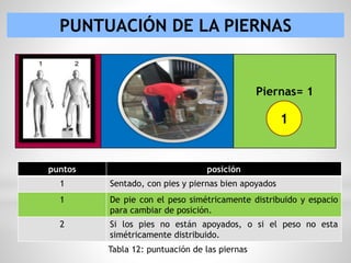 PUNTUACIÓN DE LA PIERNAS
puntos posición
1 Sentado, con pies y piernas bien apoyados
1 De pie con el peso simétricamente distribuido y espacio
para cambiar de posición.
2 Si los pies no están apoyados, o si el peso no esta
simétricamente distribuido.
Tabla 12: puntuación de las piernas
Piernas= 1
1
 