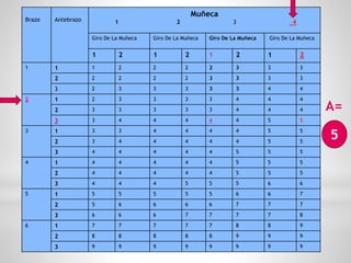 Brazo Antebrazo
Muñeca
1 2 3 4
Giro De La Muñeca Giro De La Muñeca Giro De La Muñeca Giro De La Muñeca
1 2 1 2 1 2 1 2
1 1 1 2 2 2 2 3 3 3
2 2 2 2 2 3 3 3 3
3 2 3 3 3 3 3 4 4
2 1 2 3 3 3 3 4 4 4
2 3 3 3 3 3 4 4 4
3 3 4 4 4 4 4 5 5
3 1 3 3 4 4 4 4 5 5
2 3 4 4 4 4 4 5 5
3 4 4 4 4 4 5 5 5
4 1 4 4 4 4 4 5 5 5
2 4 4 4 4 4 5 5 5
3 4 4 4 5 5 5 6 6
5 1 5 5 5 5 5 6 6 7
2 5 6 6 6 6 7 7 7
3 6 6 6 7 7 7 7 8
6 1 7 7 7 7 7 8 8 9
2 8 8 8 8 8 9 9 9
3 9 9 9 9 9 9 9 9
5
A=
 