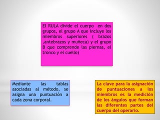 El RULA divide el cuerpo en dos
grupos, el grupo A que incluye los
miembros superiores ( brazos
,antebrazos y muñeca) y el grupo
B que comprende las piernas, el
tronco y el cuello)
Mediante las tablas
asociadas al método, se
asigna una puntuación a
cada zona corporal.
La clave para la asignación
de puntuaciones a los
miembros es la medición
de los ángulos que forman
las diferentes partes del
cuerpo del operario.
 