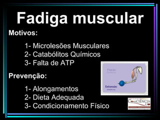 Fadiga muscular Motivos: 1- Microlesões Musculares 2- Catabólitos Químicos 3- Falta de ATP Prevenção: 1- Alongamentos  2- Dieta Adequada 3- Condicionamento Físico 