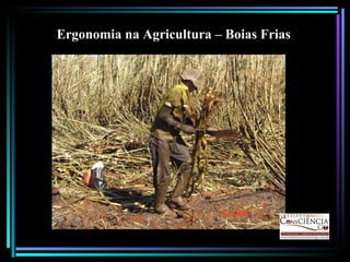 Ergonomia na Agricultura – Boias Frias 