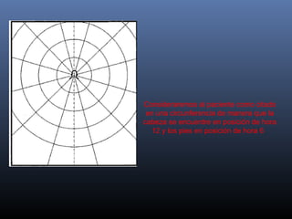 Consideraremos al paciente como citado
en una circunferencia de manera que la
cabeza se encuentre en posición de hora
12 y los pies en posición de hora 6

 
