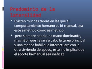Predominio de la
lateralidad
 Existen muchas tareas en las que el

comportamiento humano es bi-manual, sea
este simétrico como asimétrico.
 pero siempre habrá una mano dominante,
mas hábil que llevara a cabo la tarea principal
y una menos hábil que interactuara con la
otra sirviendo de apoyo, esto no implica que
el aporte bi-manual sea ineficaz

 