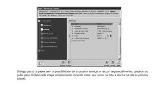 Diálogo passo a passo com a possibilidade de o usuário avançar e recuar sequencialmente, cancelar ou
pular para determinada etapa simplesmente clicando sobre seu nome na lista à direita da tela (currículos
Lattes).
 