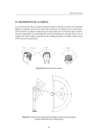 Ergonomía Práctica




A1. MOVIMIENTOS DE LA CABEZA

Los movimientos de la cabeza también deben estudiarse tanto en la flexión
(bajar la cabeza) como en la extensión (levantar la cabeza), en la lateraliza-
ción (inclinar la cabeza a derecha y/o izquierda) y en la rotación (giro a dere-
cha y/o izquierda). La movilidad de esta extremidad se estudia junto con el
ángulo de visión según la posición de trabajo (parado, sentado, alternancia
entre una y otra posición).




                           Figura 5.20. Movimientos de la cabeza.




        Figura 5.21. Campo visual. A ángulo óptimo; B ángulo máximo de recomendado;
                         C ángulo máximo de visión; D ángulo límite.



                                            91
 