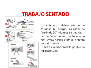  Los antebrazos deben estar a los
costados del cuerpo, los codos en
flexión de 90° mientras se trabaja.
 Las muñecas deben mantenerse lo
más rectas posibles lateral y antero
posteriormente.
 Utilice en la medida de lo posible un
reposa brazos.
TRABAJO SENTADO
 