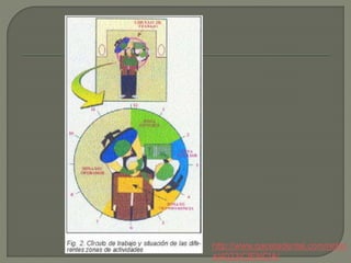 http://www.gacetadental.com/notici
a/4023/CIENCIA/
 