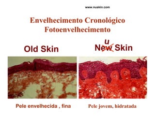 Envelhecimento Cronológico Fotoenvelhecimento Pele envelhecida , fina Pele jovem, hidratada New Skin Old Skin u www.nuskin.com 