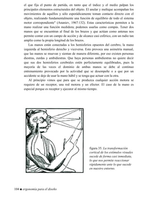 el que fija el punto de partida, en tanto que el índice y el medio palpan los
principales elementos estructurales del objeto. El anular y meñique acompañan los
movimientos de aquéllos y sólo esporádicamente toman contacto directo con el
objeto, realizando fundamentalmente una función de equilibrio de todo el sistema
motor correspondiente (Ananiev, 1967:132). Estas características permiten a la
mano realizar una función medidora; podemos usarlas como compás. Tener dos
manos que se encuentran al final de los brazos y que actúan como antenas nos
permite contar con un campo de acción y de alcance casi esférico, con un radio tan
amplio como la propia longitud de los brazos.
Las manos están conectadas a los hemisferios opuestos del cerebro, la mano
izquierda al hemisferio derecho y viceversa. Esto provoca una asimetría manual,
que las manos se muevan y sientan de manera diferente, por eso existen personas
diestras, zurdas y ambidiestras. Que haya personas ambidiestras no quiere decir
que sus dos hemisferios cerebrales estén perfectamente equilibrados, pues la
mayoría de las veces el dominio de ambas manos se debe al continuo
entrenamiento provocado por la actividad que se desempeñe o a que por un
accidente se deje de usar la mano hábil y se tenga que actuar con la otra.
Al principio vimos que para que se produzca cualquier acción motora se
requiere de un receptor, una red motora y un efector. El caso de la mano es
especial porque es receptor y ejecutor al mismo tiempo.
figura 35. La transformación
cortical de los estímulos visuales
sucede de forma casi inmediata,
lo que nos permite reaccionar
rápidamente ante lo que sucede
en nuestro entorno.
104 ■ ergonomía para el diseño
 