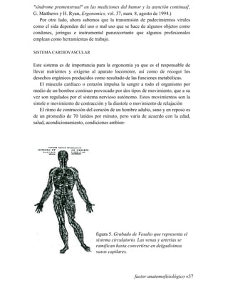 síndrome premenstrual en las mediciones del humor y la atención continua],
G. Matthews y H. Ryan, Ergonomics, vol. 37, num. 8, agosto de 1994.)
Por otro lado, ahora sabemos que la transmisión de padecimientos virales
como el sida dependen del uso o mal uso que se hace de algunos objetos como
condones, jeringas e instrumental punzocortante que algunos profesionales
emplean como herramientas de trabajo.
SISTEMA CARDIOVASCULAR
Este sistema es de importancia para la ergonomía ya que es el responsable de
llevar nutrientes y oxígeno al aparato locomotor, así como de recoger los
desechos orgánicos producidos como resultado de las funciones metabólicas.
El músculo cardiaco o corazón impulsa la sangre a todo el organismo por
medio de un bombeo continuo provocado por dos tipos de movimiento, que a su
vez son regulados por el sistema nervioso autónomo. Estos movimientos son la
sístole o movimiento de contracción y la diastole o movimiento de relajación
El ritmo de contracción del corazón de un hombre adulto, sano y en reposo es
de un promedio de 70 latidos por minuto, pero varía de acuerdo con la edad,
salud, acondicionamiento, condiciones ambien-
figura 5. Grabado de Vesalio que representa el
sistema circulatorio. Las venas y arterias se
ramifican hasta convertirse en delgadísimos
vasos capilares.
factor anatomofisiológico «37
 