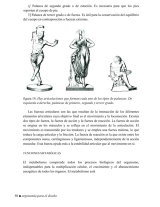 z] Palanca de segundo grado o de estación. Es necesaria para que los pies
soporten al cuerpo de pie.
3] Palanca de tercer grado o de fuerza. Es útil para la conservación del equilibrio
del cuerpo en contraposición a fuerzas externas.
figura 14. Hay articulaciones que forman cada uno de los tipos de palancas. De
izquierda a derecha, palancas de primero, segundo y tercer grado.
I.as fuerzas articulares son las que resultan de la interacción de los diferentes
elementos articulares cuyo objetivo final es el movimiento y la locomoción. Existen
dos tipos de fuerza, la fuerza de acción y la fuerza de reacción. La fuerza de acción
se origina en los músculos y se refleja en el movimiento de la articulación. El
movimiento es transmitido por los tendones y se emplea una fuerza mínima, lo que
reduce la carga articular y la fricción. La fuerza de reacción es la que existe entre los
componentes óseos, cartilaginosos y ligamentosos, independientemente de la acción
muscular. Esta fuerza ayuda más a la estabilidad articular que al movimiento en sí.
FUNCIONES METABÓLICAS
El metabolismo comprende todos los procesos biológicos del organismo,
indispensables para la multiplicación celular, el crecimiento y el abastecimiento
energético de todos los órganos. El metabolismo está
50 ■ ergonomía para el diseño
 