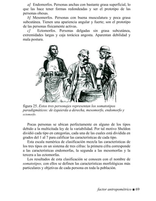 a] Endomorfos. Personas anchas con bastante grasa superficial, lo
que las hace tener formas redondeadas y ser el prototipo de las
personas obesas.
b] Mesomorfos. Personas con buena musculatura y poca grasa
subcutánea. Tienen una apariencia angular y fuerte; son el prototipo
de las personas físicamente activas.
c] Ectomorfos. Personas delgadas sin grasa subcutánea,
extremidades largas y caja torácica angosta. Aparentan debilidad y
mala postura.
figura 25. Estos tres personajes representan los somatotipos
paradigmáticos: de izquierda a derecha, mesomorfo, endomorfo y
ectomorfo.
Pocas personas se ubican perfectamente en alguno de los tipos
debido a la multicitada ley de la variabilidad. Por tal motivo Sheldon
dividió cada tipo en categorías, cada una de las cuales está dividida en
grados del 1 al 7 para calificar las características de cada tipo.
Esta escala numérica de clasificación mezcla las características de
los tres tipos en un sistema de tres cifras: la primera cifra corresponde
a las características endomorfas, la segunda a las mesomorfas y la
tercera a las ectomorfas.
Los resultados de esta clasificación se conocen con el nombre de
somatotipos, con ellos se definen las características morfológicas más
particulares y objetivas de cada persona en toda la población.
factor antropométrico ■ 69
 