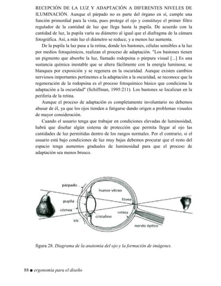 RECEPCIÓN DE LA LUZ Y ADAPTACIÓN A DIFERENTES NIVELES DE
ILUMINACIÓN. Aunque el párpado no es parte del órgano en sí, cumple una
función primordial para la vista, pues protege el ojo y constituye el primer filtro
regulador de la cantidad de luz que llega hasta la pupila. De acuerdo con la
cantidad de luz, la pupila varía su diámetro al igual que el diafragma de la cámara
fotográfica. Así, a más luz el diámetro se reduce, y a menos luz aumenta.
De la pupila la luz pasa a la retina, donde los bastones, células sensibles a la luz
por medios fotoquímicos, realizan el proceso de adaptación. Los bastones tienen
un pigmento que absorbe la luz, llamado rodopsina o púrpura visual [...] Es una
sustancia química inestable que se altera fácilmente con la energía luminosa; se
blanquea por exposición y se regenera en la oscuridad. Aunque existen cambios
nerviosos importantes pertinentes a la adaptación a la oscuridad, se reconoce que la
regeneración de la rodopsina es el proceso fotoquímico básico que condiciona la
adaptación a la oscuridad (Schiffman, 1995:211). Los bastones se localizan en la
periferia de la retina.
Aunque el proceso de adaptación es completamente involuntario no debemos
abusar de él, ya que los ojos tienden a fatigarse dando origen a problemas visuales
de mayor consideración.
Cuando el usuario tenga que trabajar en condiciones elevadas de luminosidad,
habrá que diseñar algún sistema de protección que permita llegar al ojo las
cantidades de luz permitidas dentro de los rangos normales. Por el contrario, si el
usuario está bajo condiciones de luz muy bajas debemos procurar que el resto del
espacio tenga aumentos graduales de luminosidad para que el proceso de
adaptación sea menos brusco.
figura 28. Diagrama de la anatomía del ojo y la formación de imágenes.
88 ■ ergonomía para el diseño
 