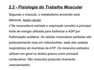 2.2 - Fisiologia do Trabalho Muscular
Segundo o músculo, o metabolismo envolvido será
diferente. Assim sendo:
Na musculatura estriada a respiração constitui a principal
fonte de energia utilizada para fosforizar a ADP por
fosforização oxidativa. As células musculares estriadas são
particularmente ricas em mitocôndrias, sede das cadeias
respiratórias de resíntese da ATP. Os músculos estriados
utilizam em geral os ácidos graxos como principal
combustível. São músculos posturais ricamente
vascularizados.
 