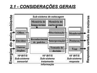2.1 - CONSIDERAÇÕES GERAIS
Energias do meio ambiente
                                           Sub-sistema de estocagem




                                                                                       Respostas verbais ou motoras
                                          Memória de    Memória de
                                          longo-termo   curto-termo

                              Olhos                      Discriminação    Membros

                                          Reconhecimento
                            Ouvidos                      Interpretação    Posturas
                                            de padrões

                             Outros                      Tomada de
                             órgãos
                                                                            Voz
                                                          decisão
                              109 BIT/S            10² BIT/S              107 BIT/S
                            Sub-sistema          Sub-sistema             Sub-sistema
                             sensorial            tratamento              resposta
                                                 informação
 