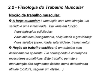 2.2 - Fisiologia do Trabalho Muscular
Noção de trabalho muscular:
– A força muscular: é uma ação com uma direção, um
sentido e uma intensidade. Ela varia em função:
   dos músculos solicitados;
   das atitudes (alongamento, obliqüidade e gravidade);
   dos sujeitos (sexo, idade, lateralidade, treinamento).
— Noção de trabalho estático: é um trabalho sem
deslocamento aparente. Ele corresponde à contrações
musculares isométricas. Este trabalho permite a
manutenção dos segmentos ósseos numa determinada
atitude (postura, segurar um objeto,...)
 