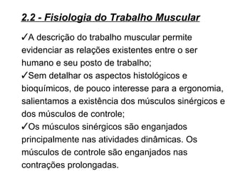2.2 - Fisiologia do Trabalho Muscular
A descrição do trabalho muscular permite
evidenciar as relações existentes entre o ser
humano e seu posto de trabalho;
Sem detalhar os aspectos histológicos e
bioquímicos, de pouco interesse para a ergonomia,
salientamos a existência dos músculos sinérgicos e
dos músculos de controle;
Os músculos sinérgicos são enganjados
principalmente nas atividades dinâmicas. Os
músculos de controle são enganjados nas
contrações prolongadas.
 