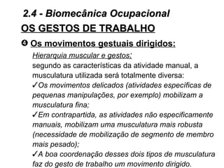 2.4 - Biomecânica Ocupacional
OS GESTOS DE TRABALHO
™ Os movimentos gestuais dirigidos:
  Hierarquia muscular e gestos:
  segundo as características da atividade manual, a
  musculatura utilizada será totalmente diversa:
  Os movimentos delicados (atividades específicas de
  pequenas manipulações, por exemplo) mobilizam a
  musculatura fina;
  Em contrapartida, as atividades não especificamente
  manuais, mobilizam uma musculatura mais robusta
  (necessidade de mobilização de segmento de membro
  mais pesado);
  A boa coordenação desses dois tipos de musculatura
  faz do gesto de trabalho um movimento dirigido.
 