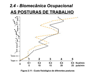 2.4 - Biomecânica Ocupacional
AS POSTURAS DE TRABALHO
     •                                                                •                    •
 •                                                            •                   •
         •
                                              •           •
          •
     •                                                            •   •
                                                                      •   •
          •
                                      •           •
         •
                                          •
          •                                           •

                                  •               •
         •                    •
                         •

         •               •
                         •

              •
                         1                2               3                   4       5
         •
                        0,1               0,2         0,3                 0,4         0,5 Kcal/min
              0
                         5                10          15                  20          25 puls/min

                  Figura 2.11 - Custo fisiológico de diferentes posturas
 
